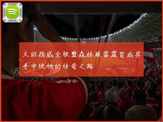 文班扬威全联盟森林狼雷霆皆成其手中玩物的传奇之路