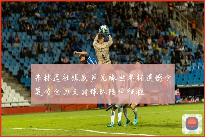 弗林蓬社媒发声无缘世界杯遗憾今夏将全力支持球队陪伴征程